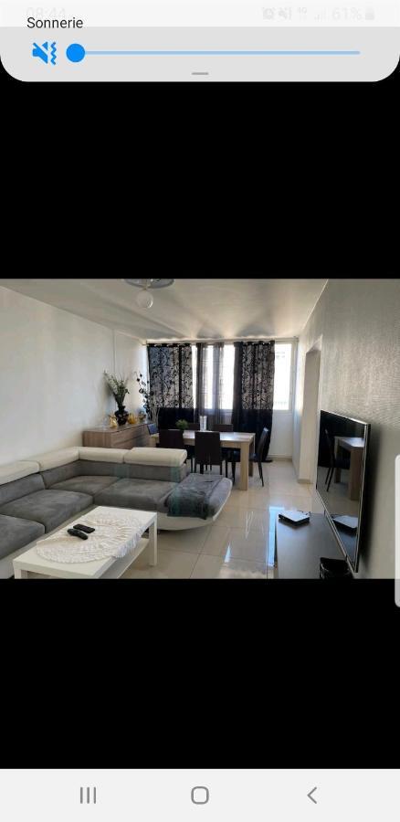 Appartement Laurent Bonnevay Villeurbanne Exterior foto